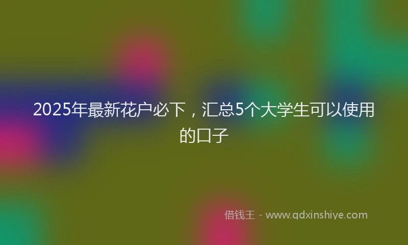2025年最新花户必下，汇总5个大学生可以使用的口子