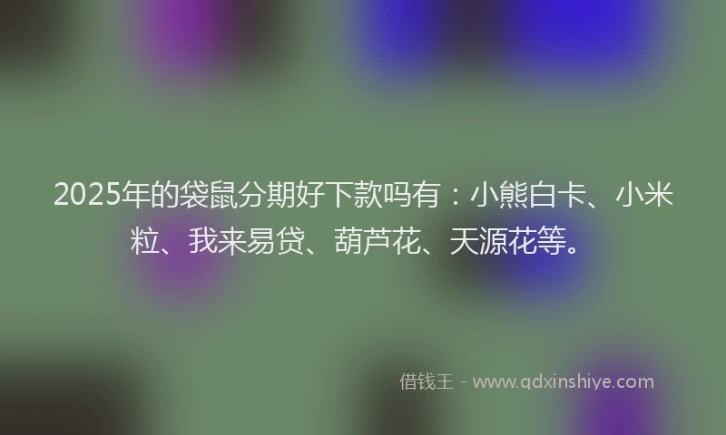 2025年的袋鼠分期好下款吗有：小熊白卡、小米粒、我来易贷、葫芦花、天源花等。