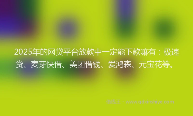 2025年的网贷平台放款中一定能下款嘛有：极速贷、麦芽快借、美团借钱、爱鸿森、元宝花等。