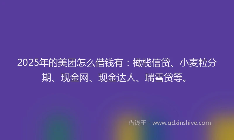 2025年的美团怎么借钱有：橄榄信贷、小麦粒分期、现金网、现金达人、瑞雪贷等。