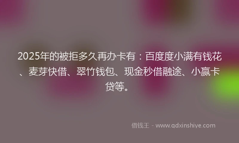2025年的被拒多久再办卡有：百度度小满有钱花、麦芽快借、翠竹钱包、现金秒借融途、小赢卡贷等。