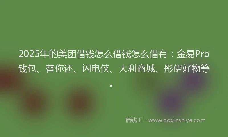 2025年的美团借钱怎么借钱怎么借有：金易Pro钱包、替你还、闪电侠、大利商城、彤伊好物等。
