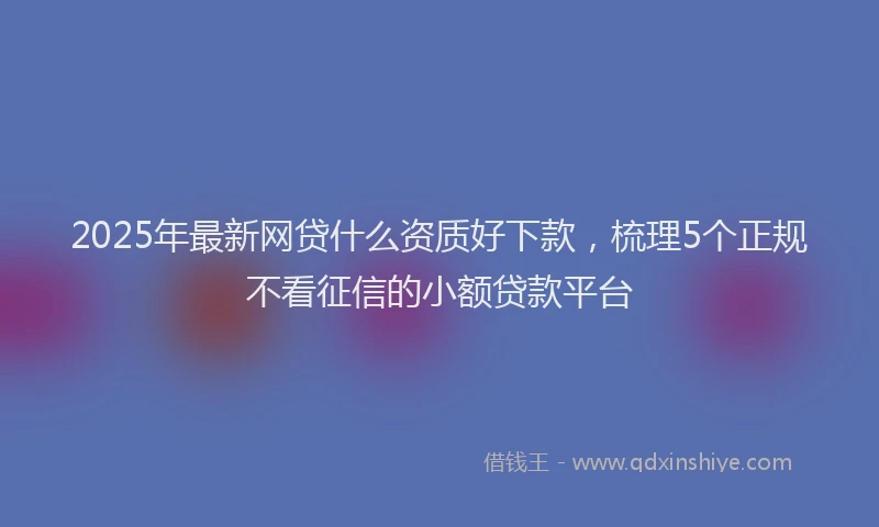 2025年最新网贷什么资质好下款，梳理5个正规不看征信的小额贷款平台