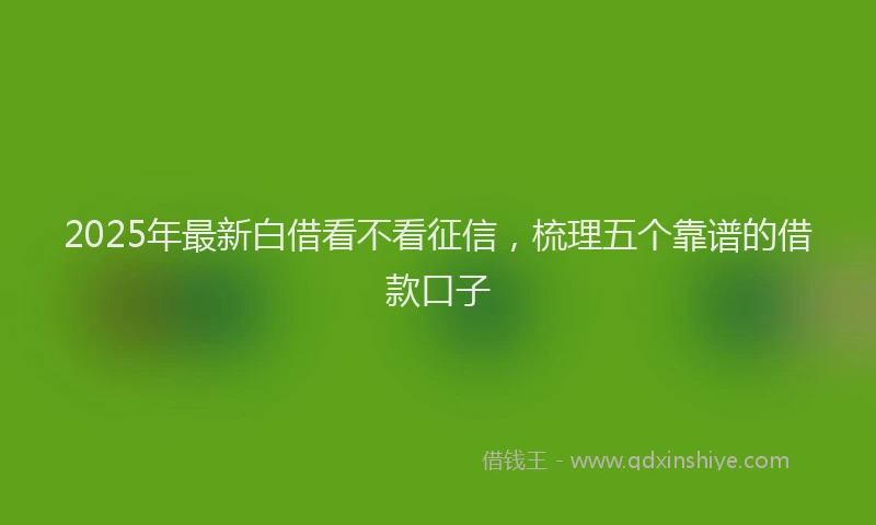 2025年最新白借看不看征信，梳理五个靠谱的借款口子