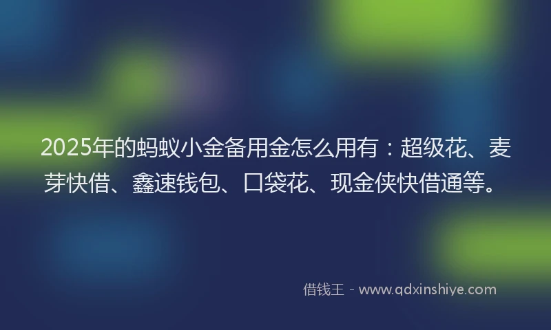 2025年的蚂蚁小金备用金怎么用有：超级花、麦芽快借、鑫速钱包、口袋花、现金侠快借通等。