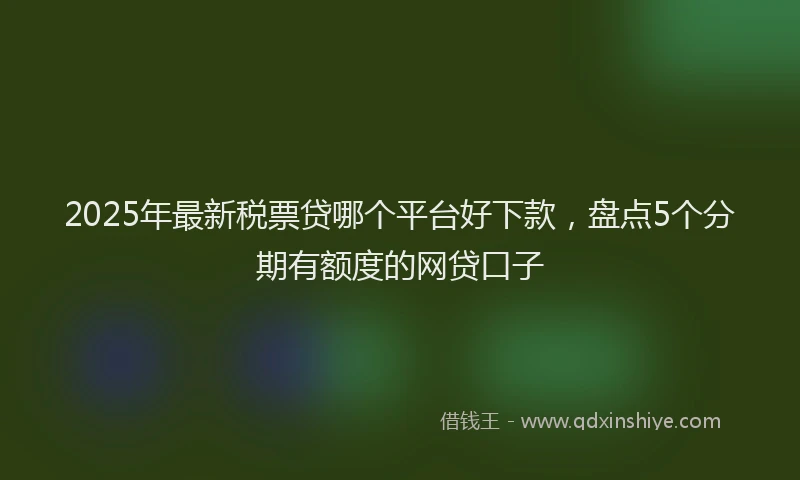 2025年最新税票贷哪个平台好下款，盘点5个分期有额度的网贷口子