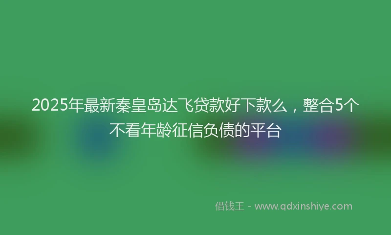 2025年最新秦皇岛达飞贷款好下款么，整合5个不看年龄征信负债的平台