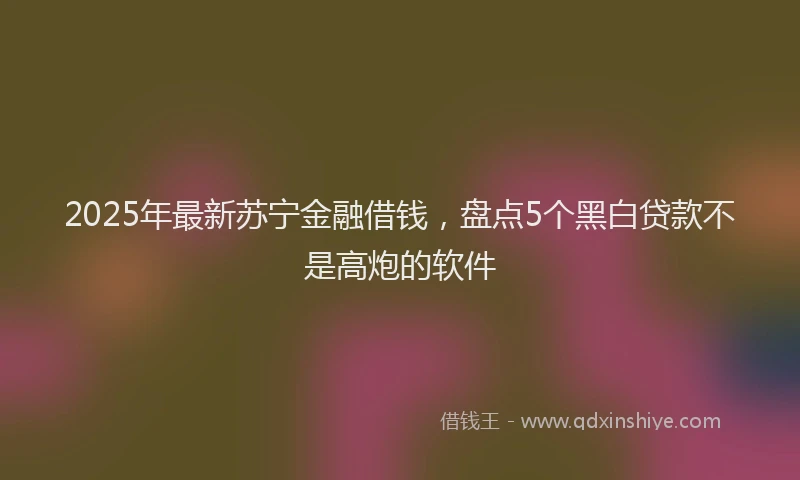 2025年最新苏宁金融借钱，盘点5个黑白贷款不是高炮的软件