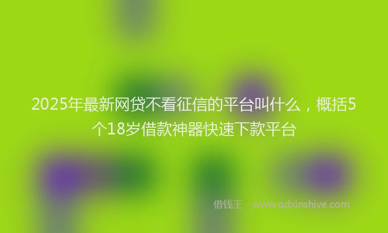 2025年最新网贷不看征信的平台叫什么，概括5个18岁借款神器快速下款平台