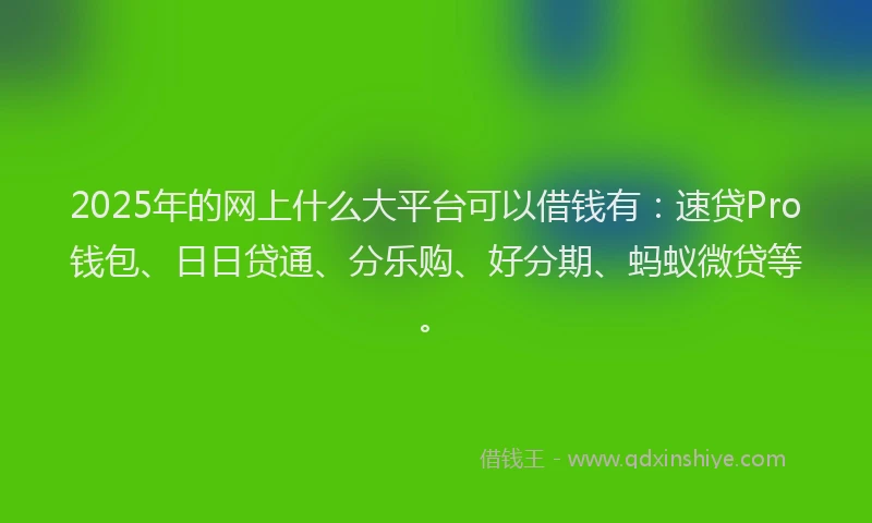 2025年的网上什么大平台可以借钱有：速贷Pro钱包、日日贷通、分乐购、好分期、蚂蚁微贷等。