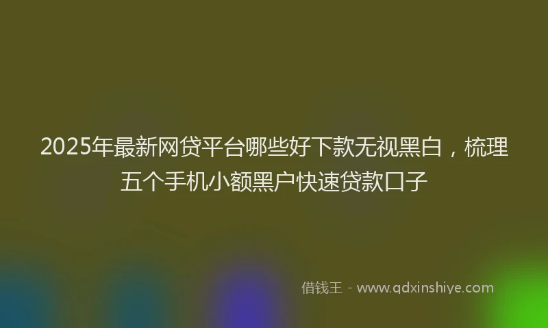 2025年最新网贷平台哪些好下款无视黑白，梳理五个手机小额黑户快速贷款口子