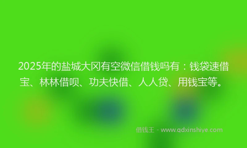 2025年的盐城大冈有空微信借钱吗有：钱袋速借宝、林林借呗、功夫快借、人人贷、用钱宝等。