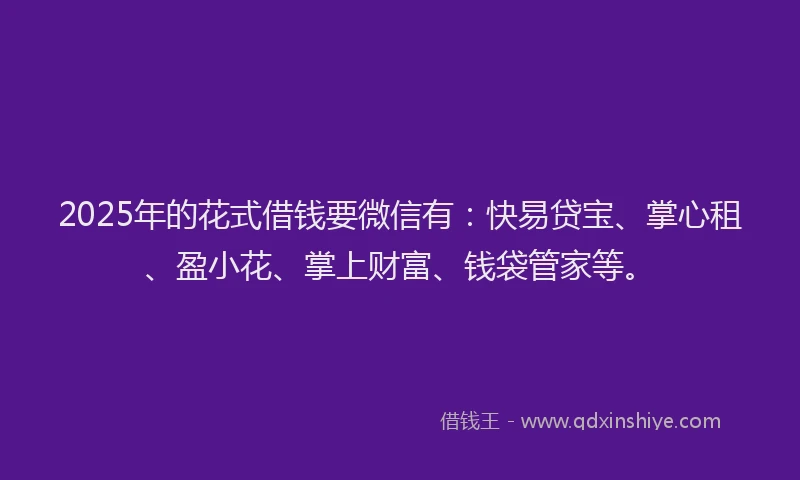 2025年的花式借钱要微信有：快易贷宝、掌心租、盈小花、掌上财富、钱袋管家等。