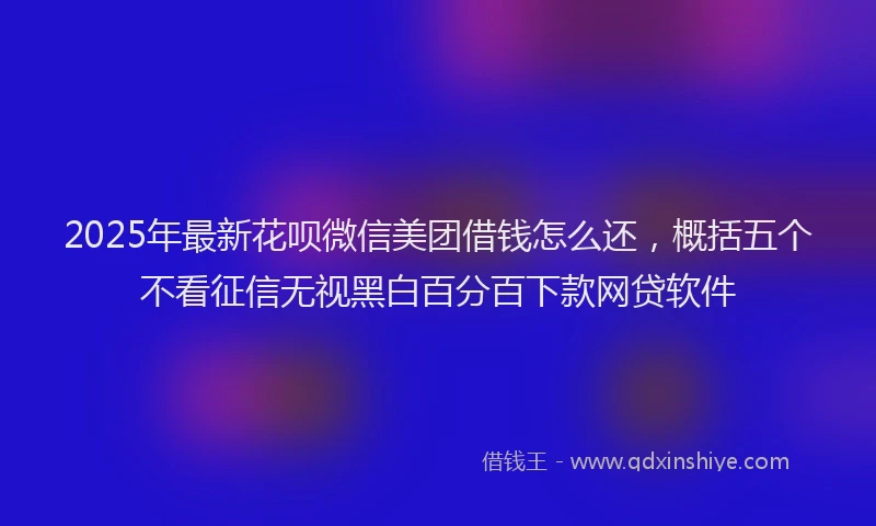 2025年最新花呗微信美团借钱怎么还，概括五个不看征信无视黑白百分百下款网贷软件