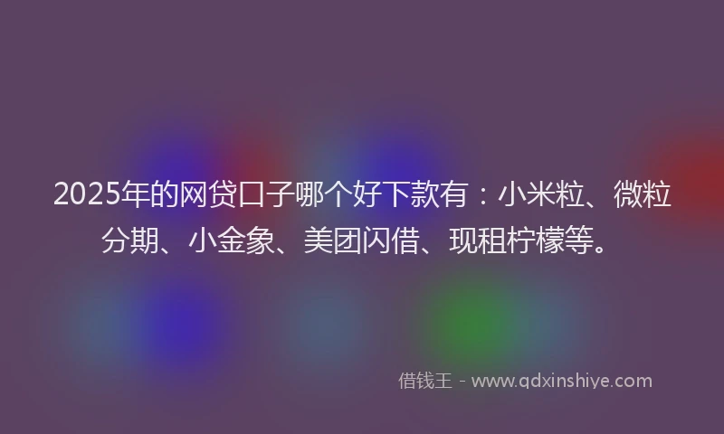 2025年的网贷口子哪个好下款有：小米粒、微粒分期、小金象、美团闪借、现租柠檬等。
