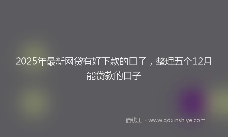 2025年最新网贷有好下款的口子，整理五个12月能贷款的口子