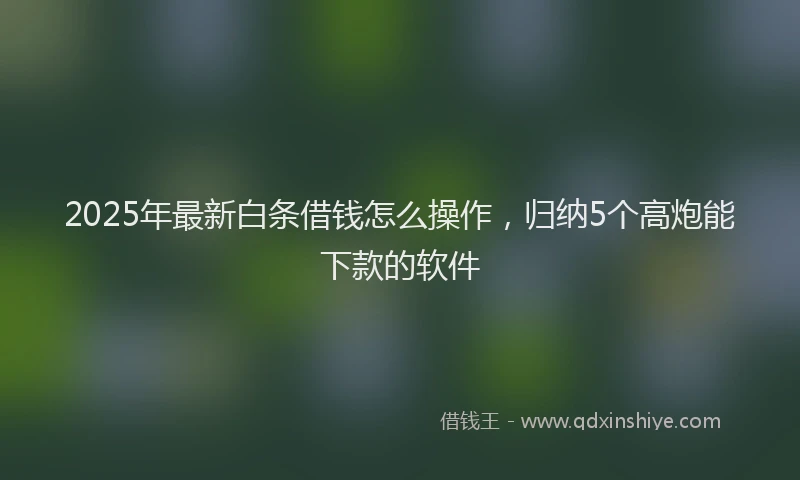 2025年最新白条借钱怎么操作，归纳5个高炮能下款的软件