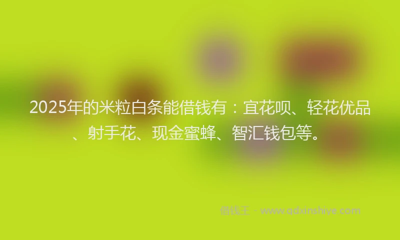 2025年的米粒白条能借钱有：宜花呗、轻花优品、射手花、现金蜜蜂、智汇钱包等。