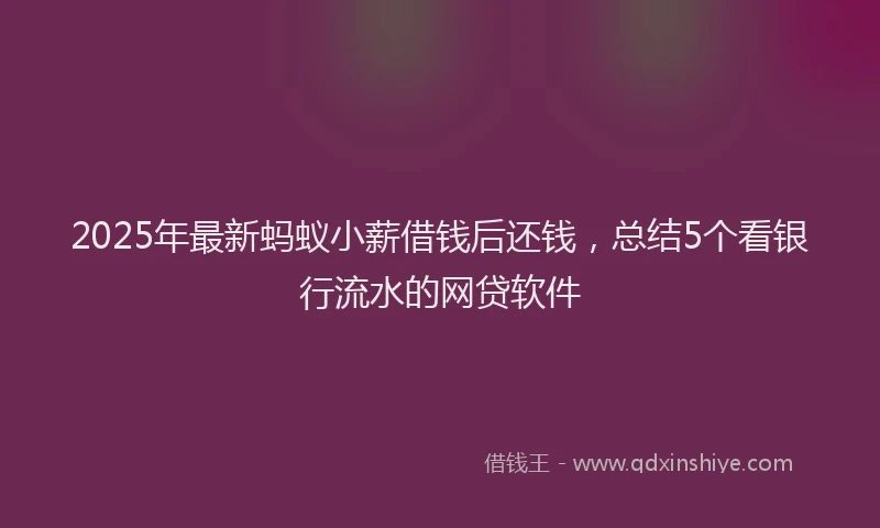 2025年最新蚂蚁小薪借钱后还钱，总结5个看银行流水的网贷软件