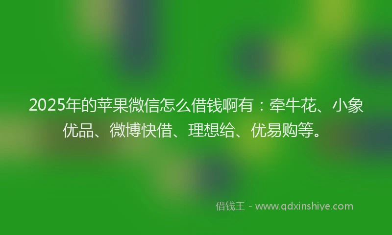 2025年的苹果微信怎么借钱啊有：牵牛花、小象优品、微博快借、理想给、优易购等。