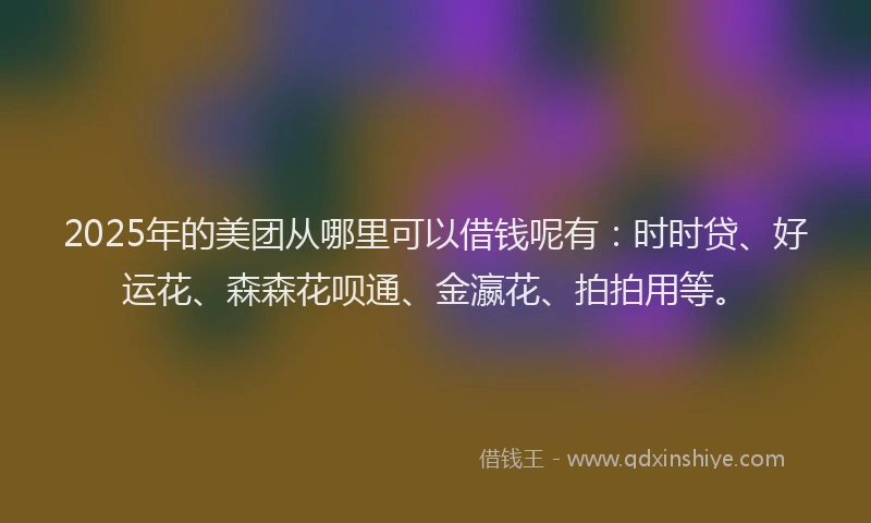 2025年的美团从哪里可以借钱呢有：时时贷、好运花、森森花呗通、金瀛花、拍拍用等。