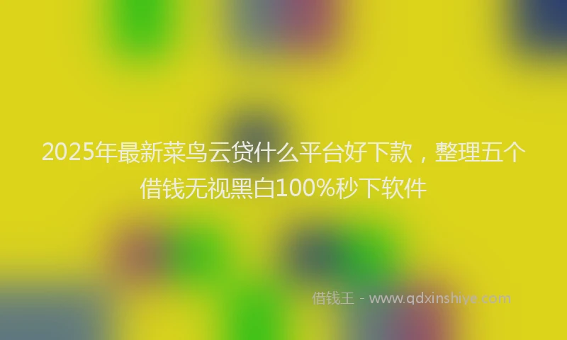 2025年最新菜鸟云贷什么平台好下款，整理五个借钱无视黑白100%秒下软件