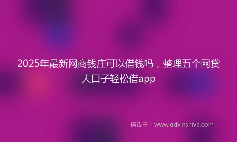 2025年最新网商钱庄可以借钱吗，整理五个网贷大口子轻松借app