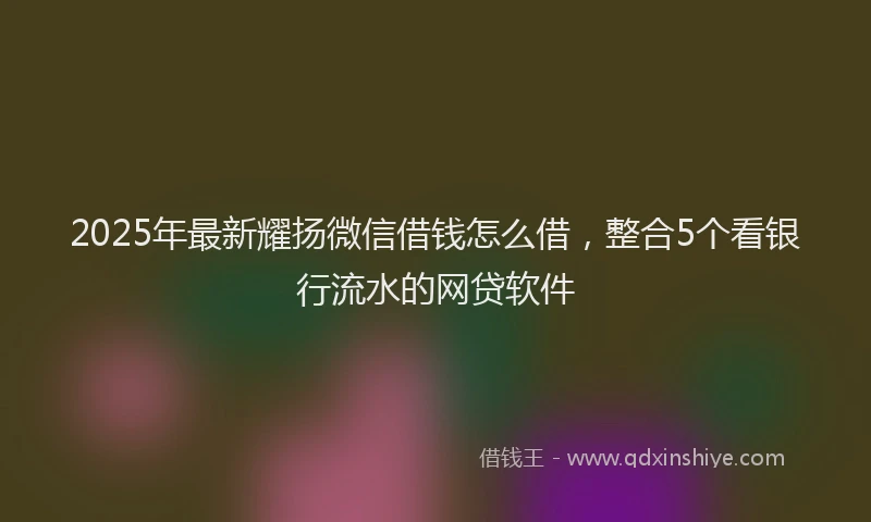 2025年最新耀扬微信借钱怎么借，整合5个看银行流水的网贷软件