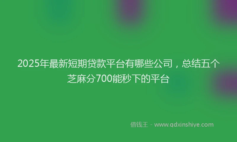 2025年最新短期贷款平台有哪些公司，总结五个芝麻分700能秒下的平台
