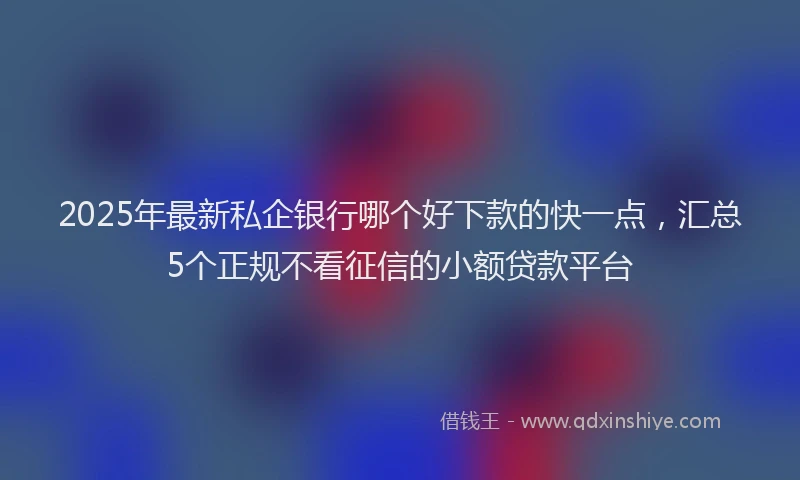 2025年最新私企银行哪个好下款的快一点，汇总5个正规不看征信的小额贷款平台