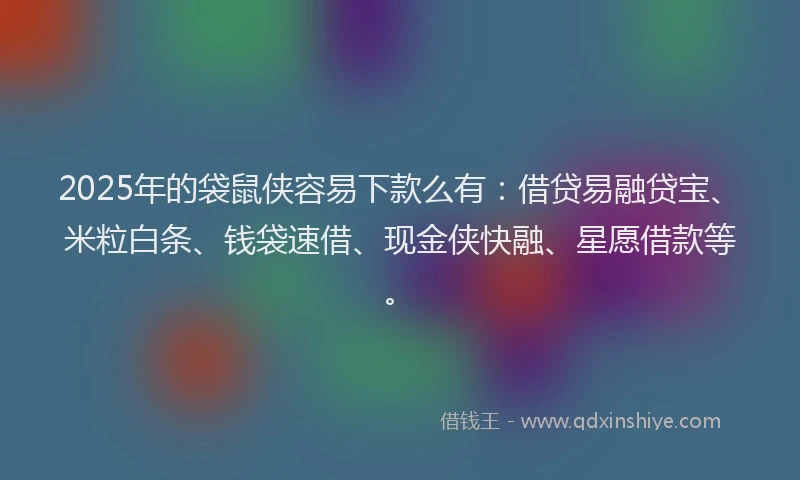 2025年的袋鼠侠容易下款么有：借贷易融贷宝、米粒白条、钱袋速借、现金侠快融、星愿借款等。