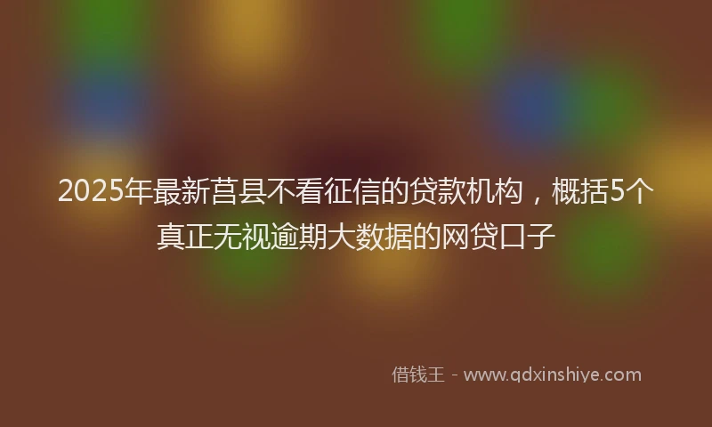 2025年最新莒县不看征信的贷款机构，概括5个真正无视逾期大数据的网贷口子