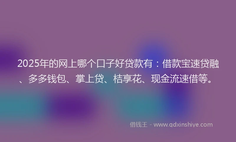 2025年的网上哪个口子好贷款有：借款宝速贷融、多多钱包、掌上贷、桔享花、现金流速借等。