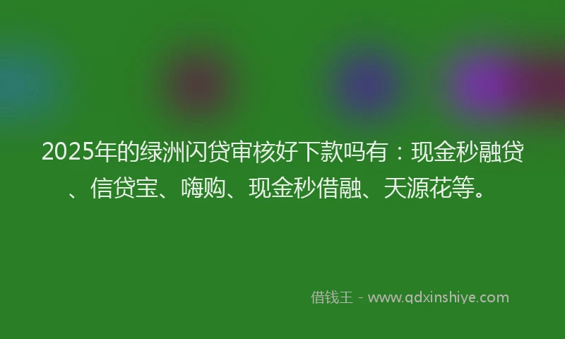 2025年的绿洲闪贷审核好下款吗有：现金秒融贷、信贷宝、嗨购、现金秒借融、天源花等。