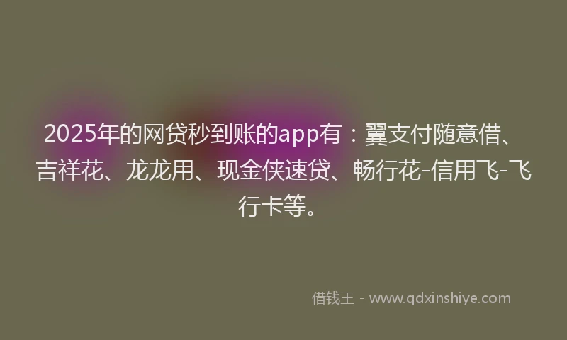 2025年的网贷秒到账的app有：翼支付随意借、吉祥花、龙龙用、现金侠速贷、畅行花-信用飞-飞行卡等。