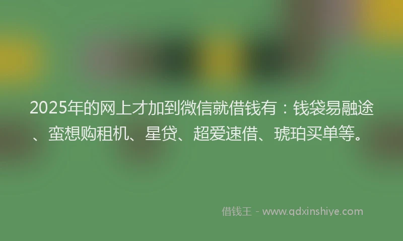 2025年的网上才加到微信就借钱有：钱袋易融途、蛮想购租机、星贷、超爱速借、琥珀买单等。