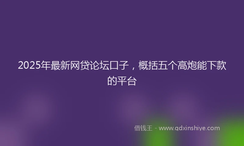 2025年最新网贷论坛口子，概括五个高炮能下款的平台