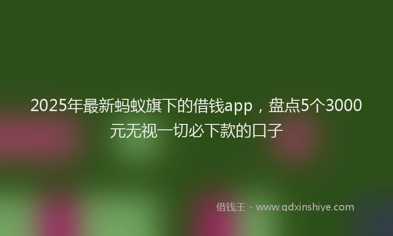 2025年最新蚂蚁旗下的借钱app，盘点5个3000元无视一切必下款的口子