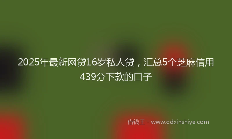 2025年最新网贷16岁私人贷，汇总5个芝麻信用439分下款的口子