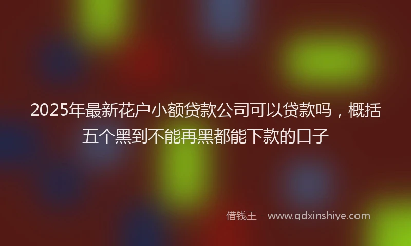 2025年最新花户小额贷款公司可以贷款吗，概括五个黑到不能再黑都能下款的口子