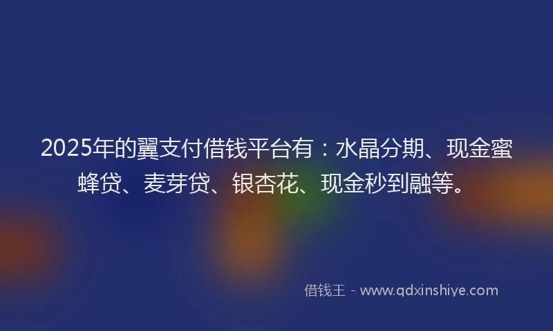 2025年的翼支付借钱平台有：水晶分期、现金蜜蜂贷、麦芽贷、银杏花、现金秒到融等。