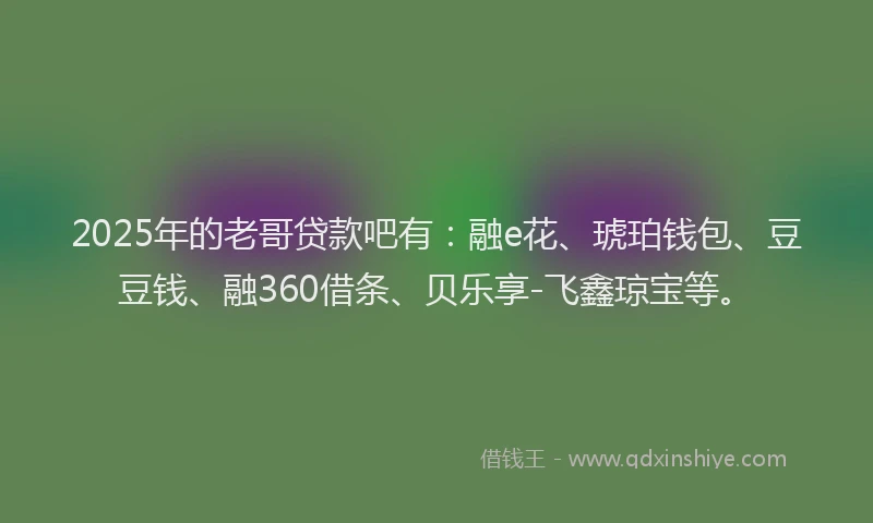 2025年的老哥贷款吧有：融e花、琥珀钱包、豆豆钱、融360借条、贝乐享-飞鑫琼宝等。