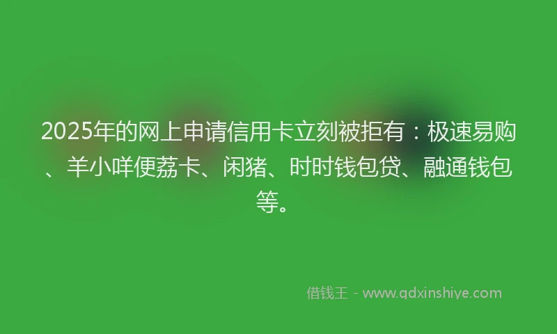 2025年的网上申请信用卡立刻被拒有：极速易购、羊小咩便荔卡、闲猪、时时钱包贷、融通钱包等。