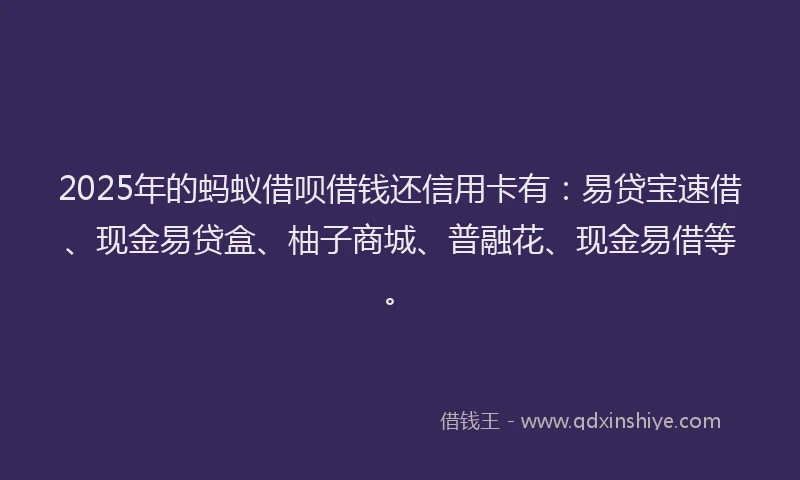 2025年的蚂蚁借呗借钱还信用卡有：易贷宝速借、现金易贷盒、柚子商城、普融花、现金易借等。