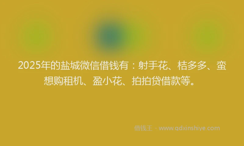 2025年的盐城微信借钱有：射手花、桔多多、蛮想购租机、盈小花、拍拍贷借款等。