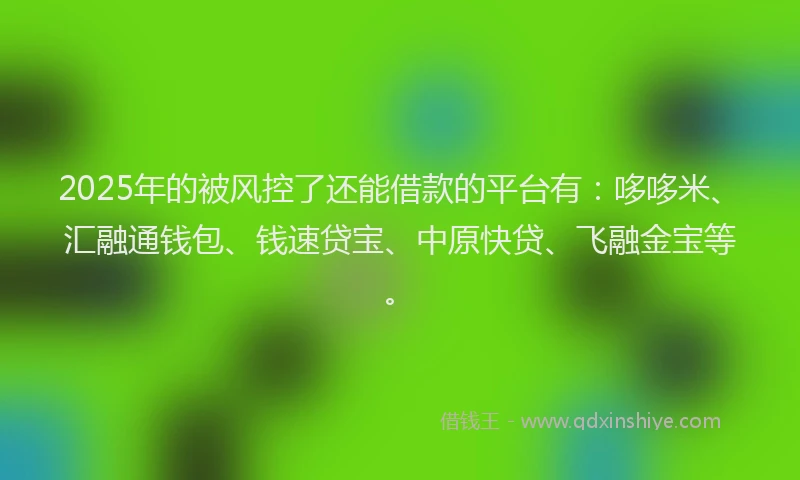 2025年的被风控了还能借款的平台有：哆哆米、汇融通钱包、钱速贷宝、中原快贷、飞融金宝等。