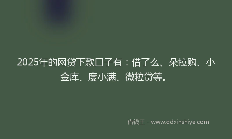 2025年的网贷下款口子有：借了么、朵拉购、小金库、度小满、微粒贷等。