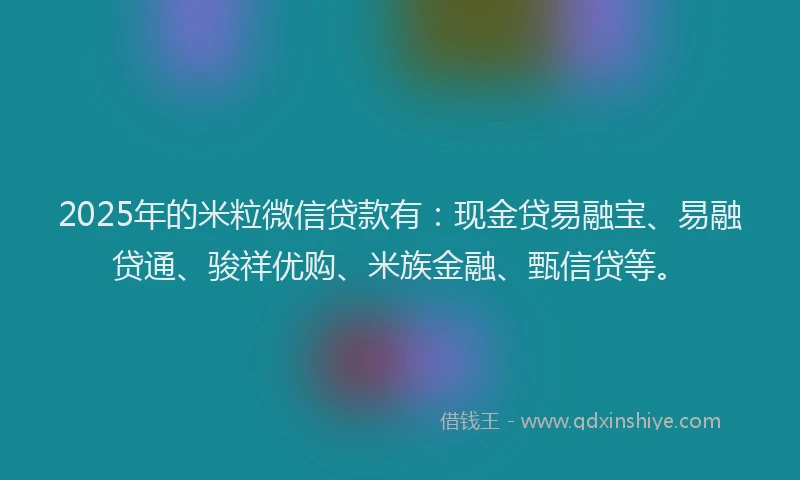 2025年的米粒微信贷款有：现金贷易融宝、易融贷通、骏祥优购、米族金融、甄信贷等。