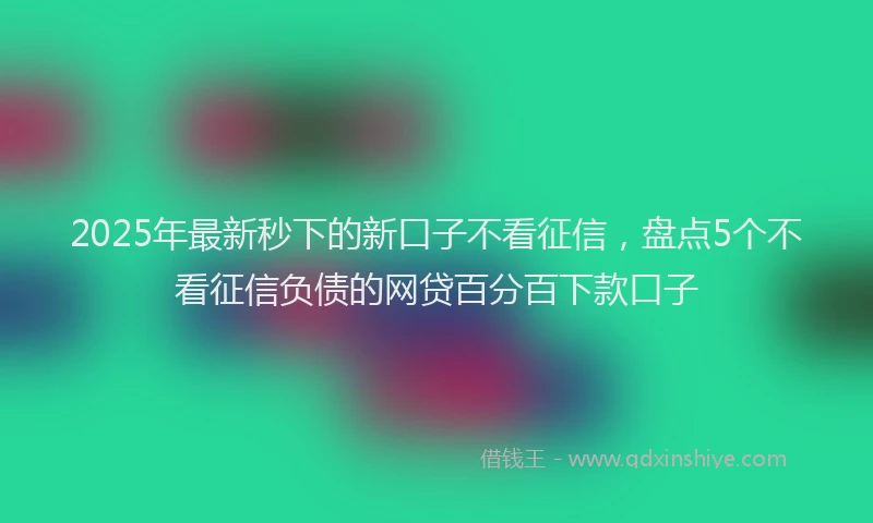 2025年最新秒下的新口子不看征信，盘点5个不看征信负债的网贷百分百下款口子