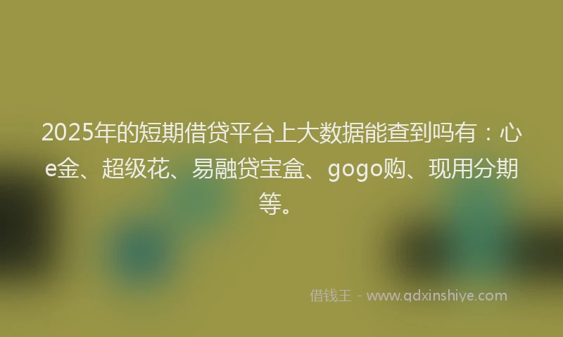 2025年的短期借贷平台上大数据能查到吗有：心e金、超级花、易融贷宝盒、gogo购、现用分期等。